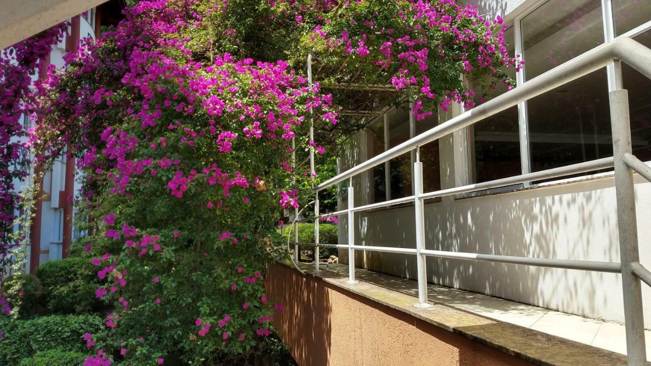 Sweet Home غرامادو المظهر الخارجي الصورة